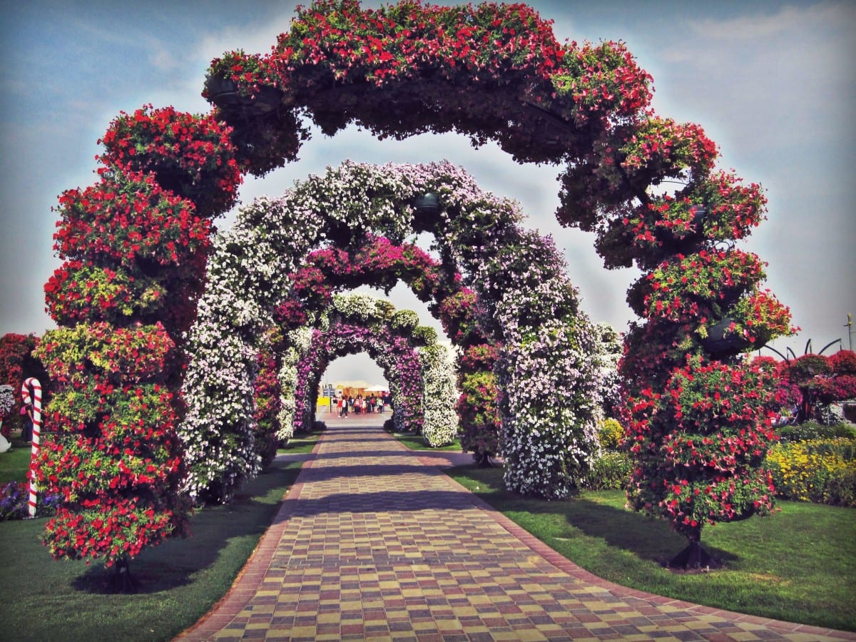 Miracle garden фото