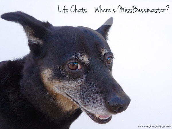 Life-Chats--Wheres-Missbassmaster