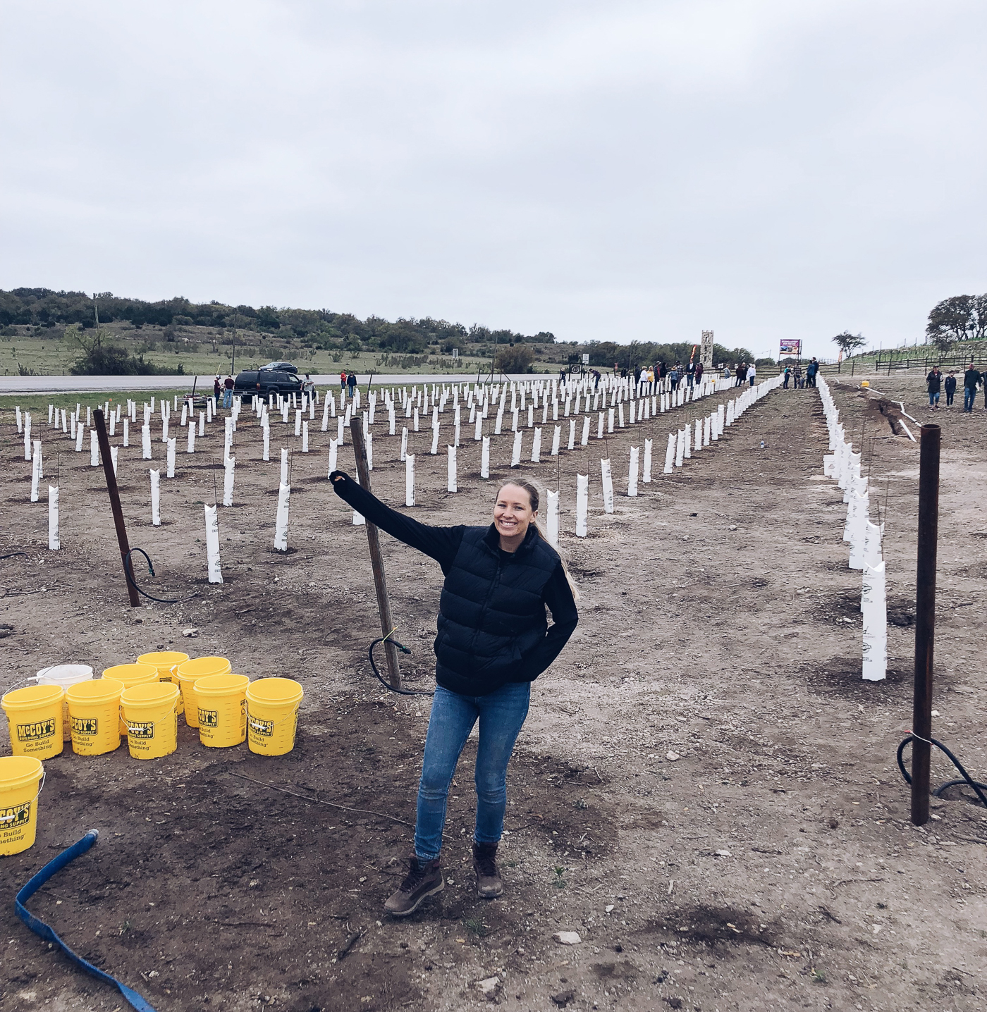 Planting a vineyard in Johnson City Texas
