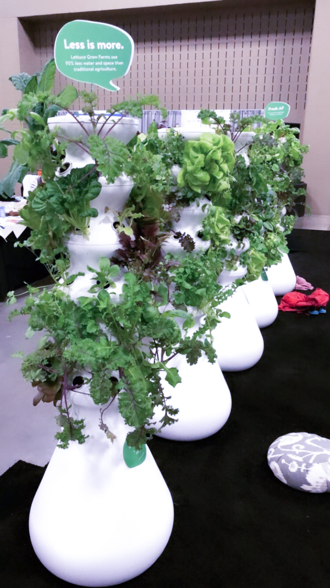 SXSW wellness expo lettuce grow
