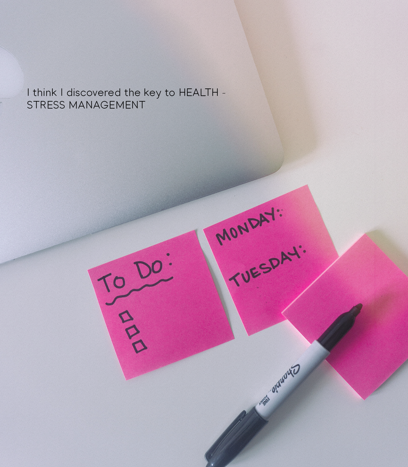 I Think I Figured Out The Key To A Healthy Life - Stress Management ...